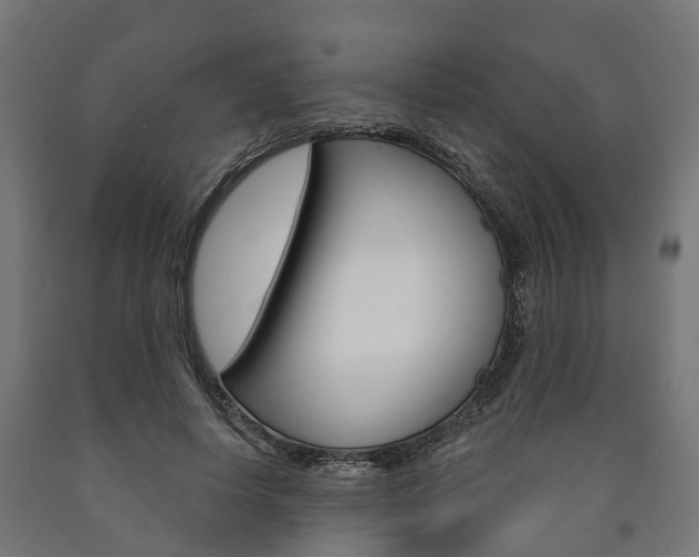 X0000091000642200708021226