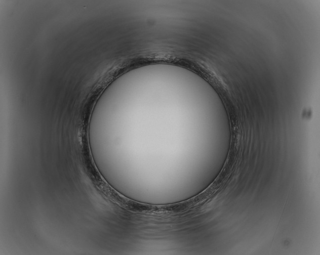 X0000091000643200708021226