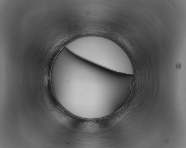 X0000091000644200708021226