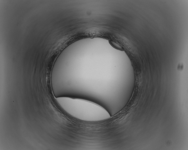 X0000091000645200708021226