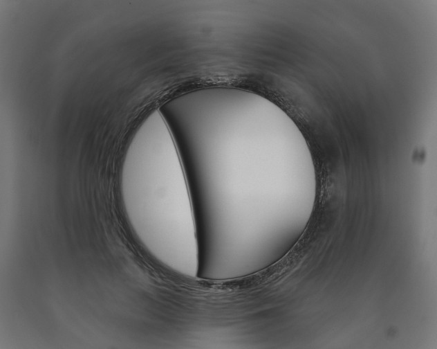 X0000091000647200708021226