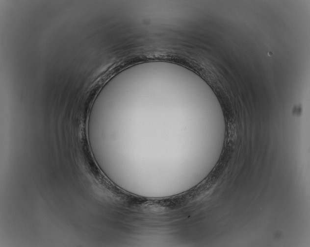 X0000091000648200708021226