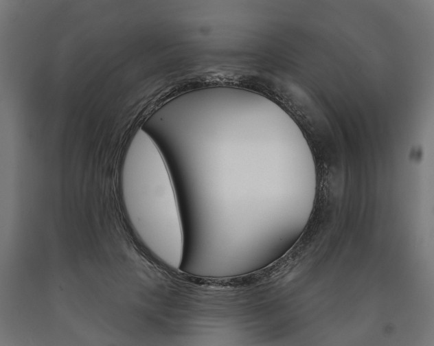 X0000091000649200708021226