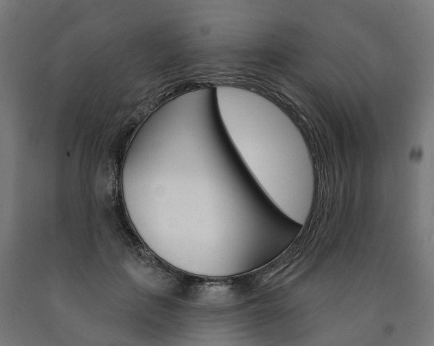 X0000091000651200708021226