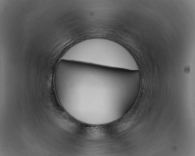 X0000091000652200708021226