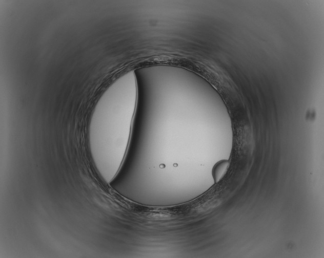 X0000091000653200708021226