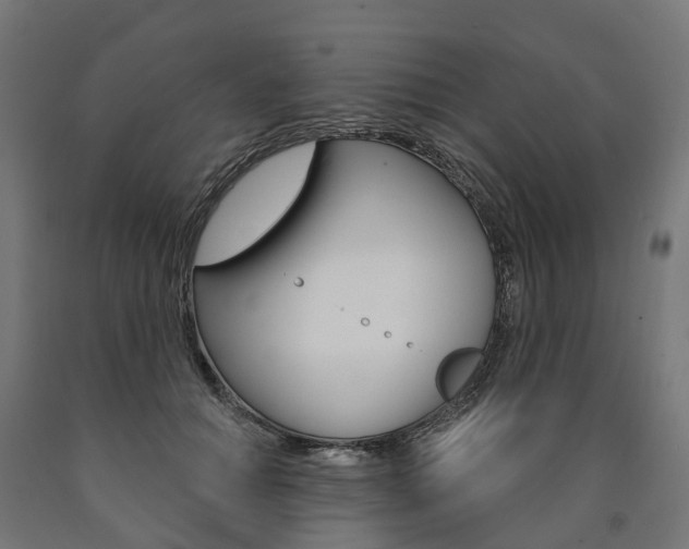 X0000091000654200708021226