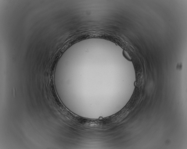 X0000091000655200708021226