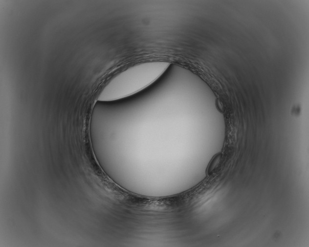 X0000091000656200708021226