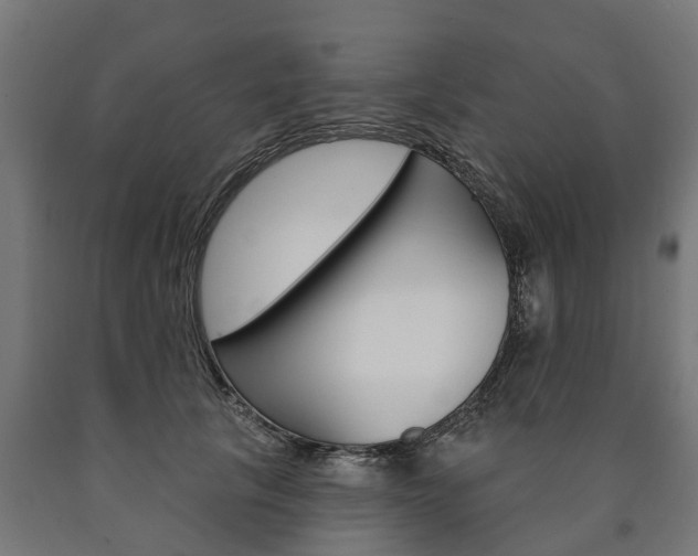 X0000091000657200708021226