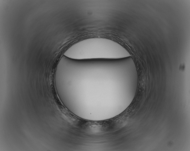 X0000091000658200708021226