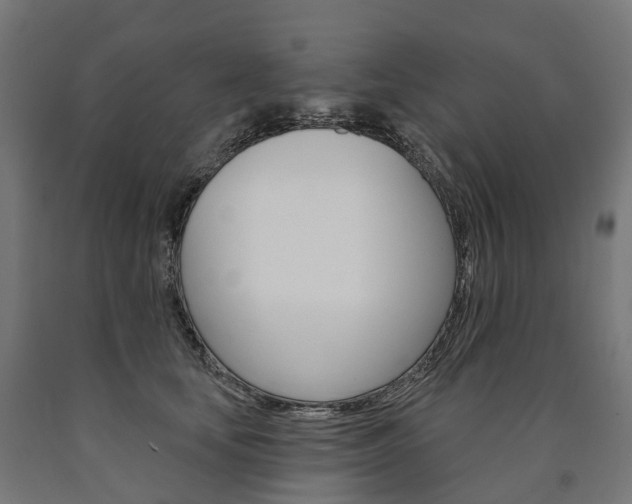 X0000091000659200708021226