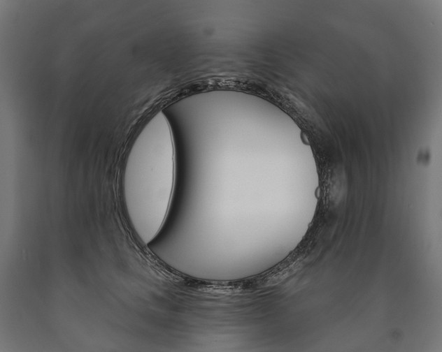 X0000091000661200708021226
