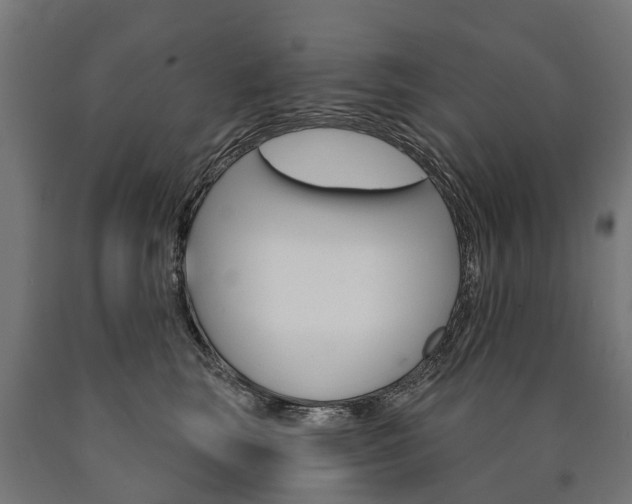 X0000091000663200708021226