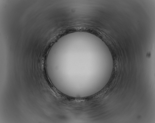 X0000091000664200708021226
