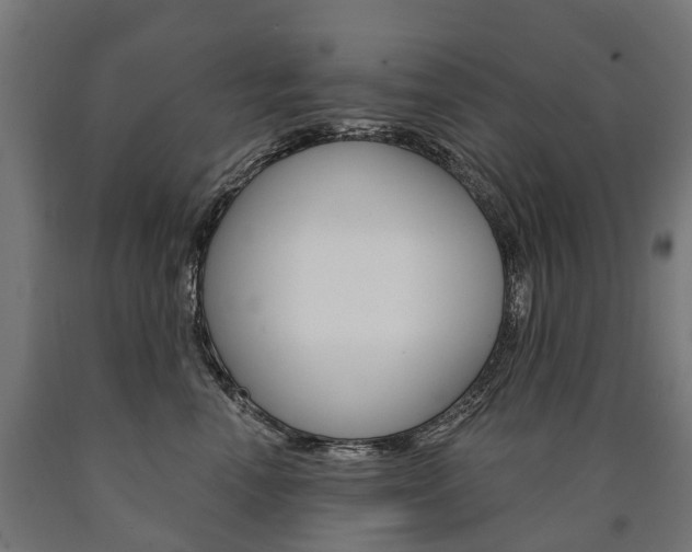 X0000091000666200708021226