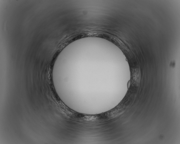 X0000091000667200708021226