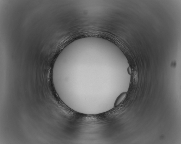 X0000091000668200708021226
