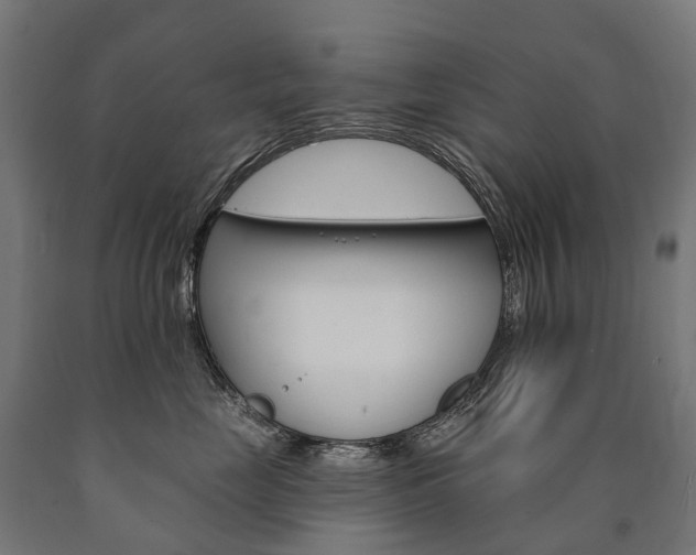 X0000091000669200708021226