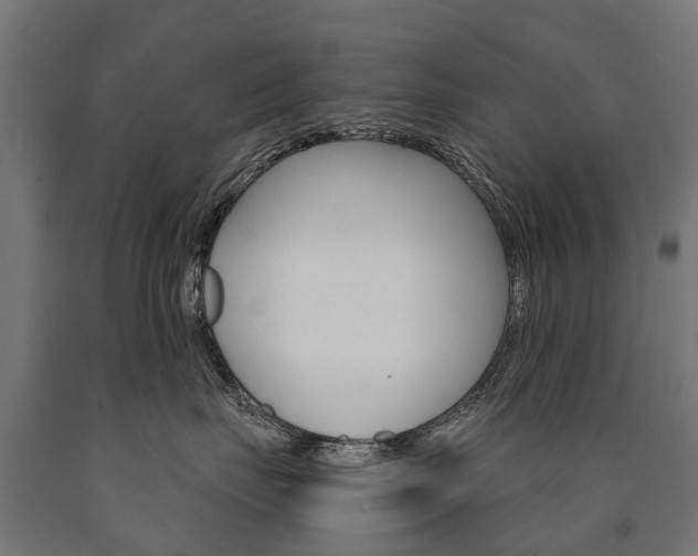X0000091000671200708021226