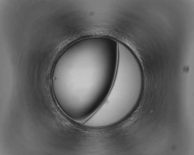 X0000091000673200708021225