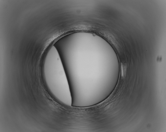 X0000091000675200708021225