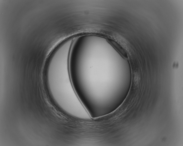 X0000091000676200708021225
