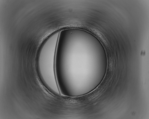 X0000091000677200708021225