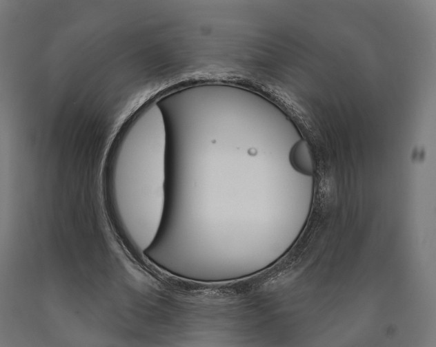 X0000091000678200708021225