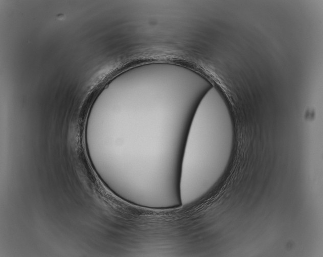 X0000091000679200708021225