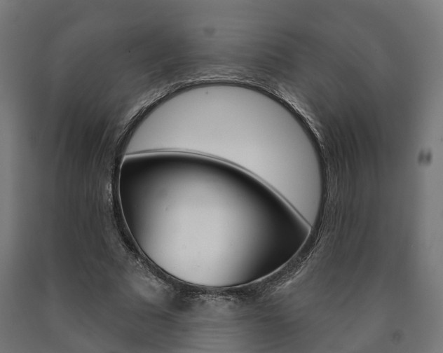 X0000091000681200708021225