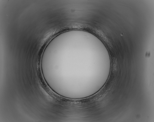 X0000091000683200708021225