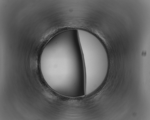 X0000091000685200708021225