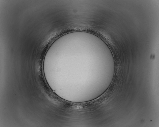 X0000091000687200708021225