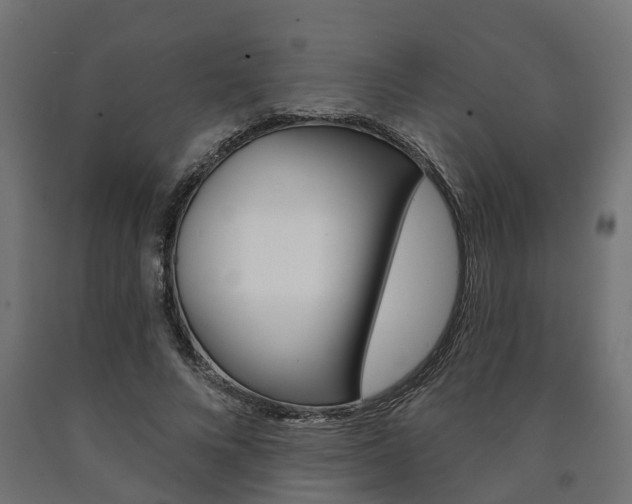 X0000091000688200708021225