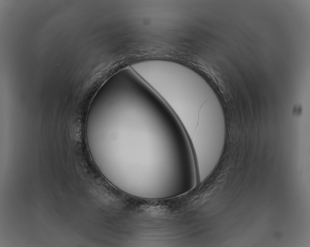 X0000091000689200708021225