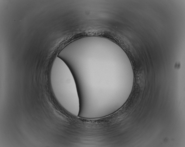 X0000091000690200708021225