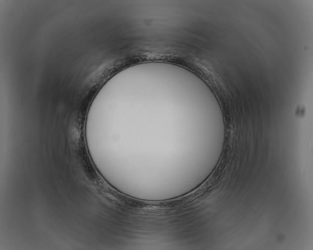 X0000091000691200708021225