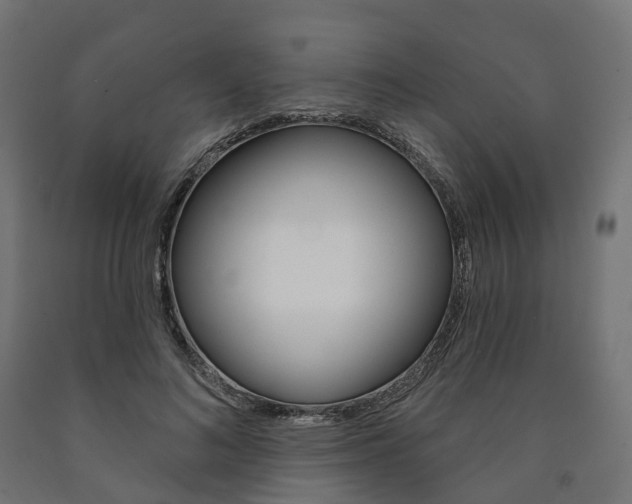 X0000091000692200708021225
