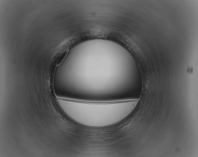X0000091000693200708021225