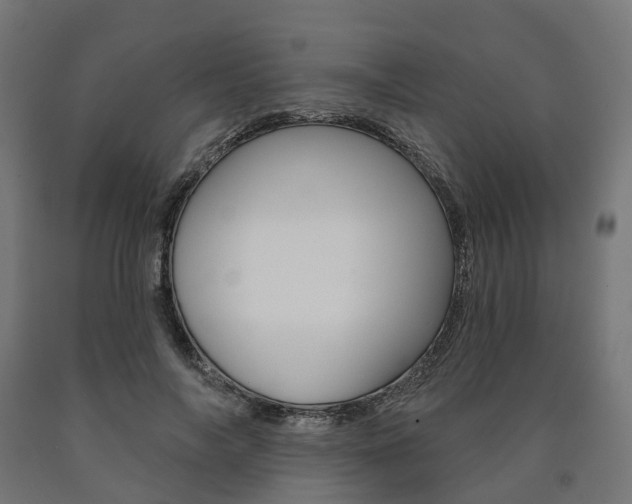 X0000091000694200708021225