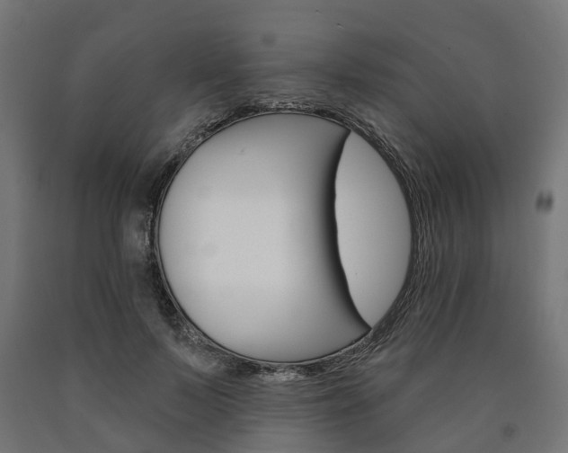 X0000091000695200708021225