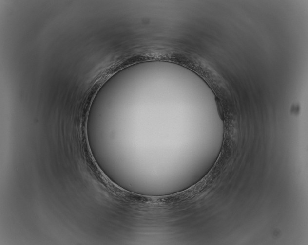 X0000091000696200708021225