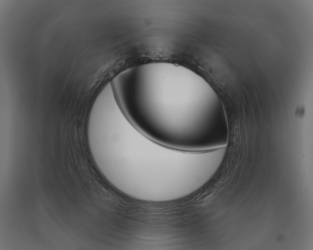 X0000091000697200708021225