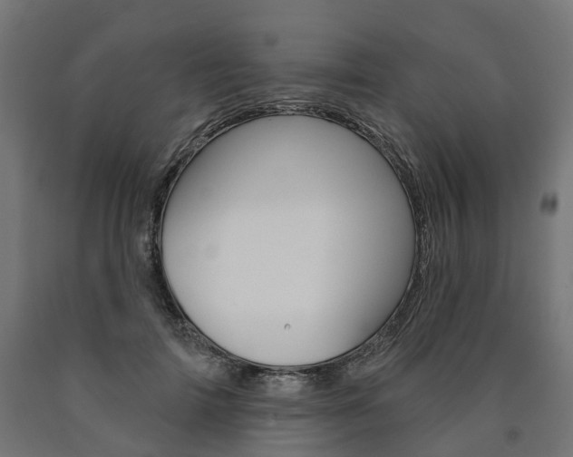 X0000091000698200708021225