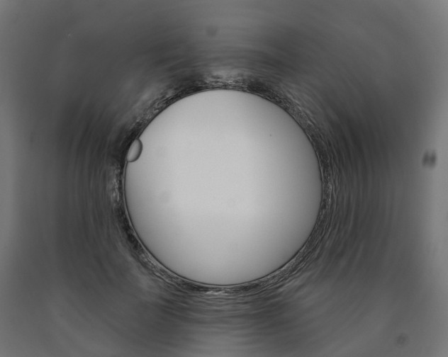 X0000091000699200708021225