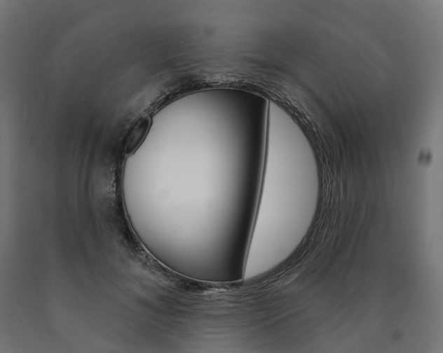 X0000091000700200708021225