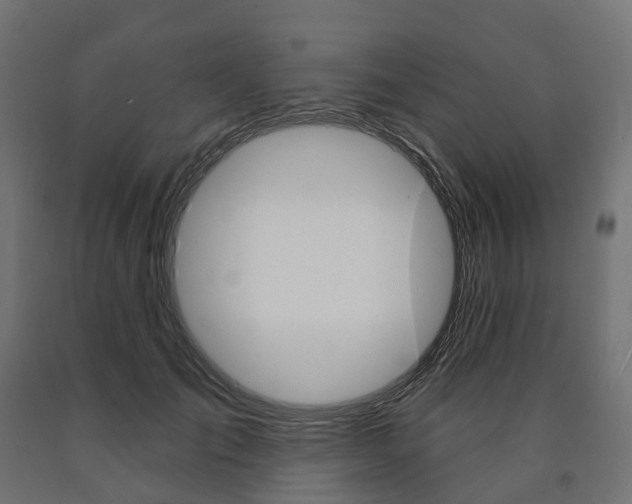 X0000091000701200708021225