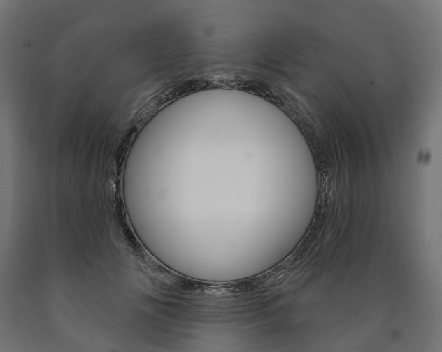 X0000091000702200708021225