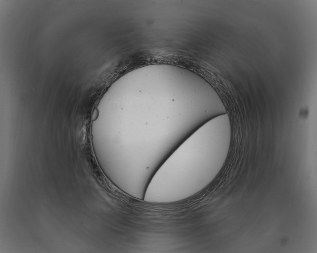 X0000091000703200708021225